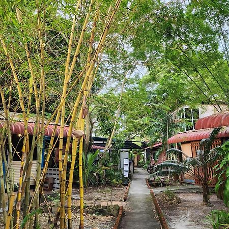 Blissfull Sweet Inn Pantai Cenang  Exterior foto